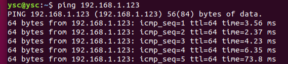 Ping test 2