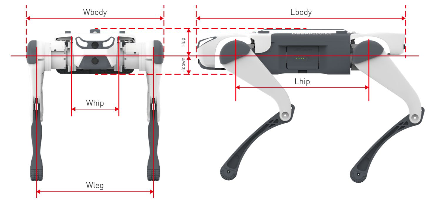Body Dimensions