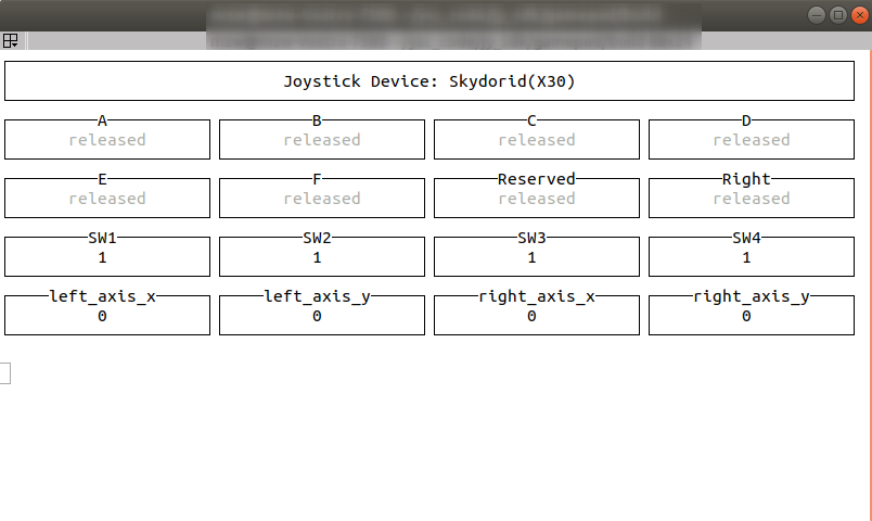 Skydroid Terminal Output