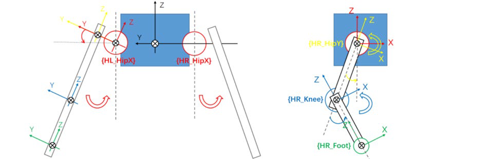 Joint Coordinate System